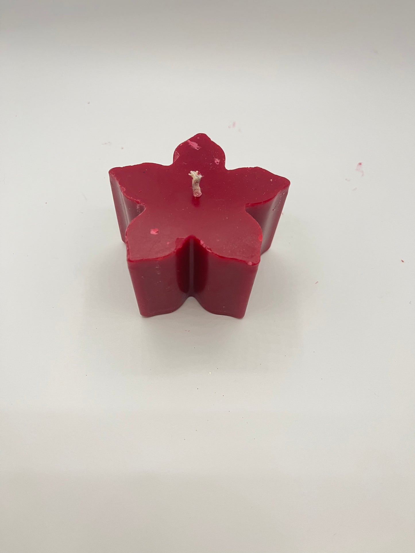 Christmas Eve flower