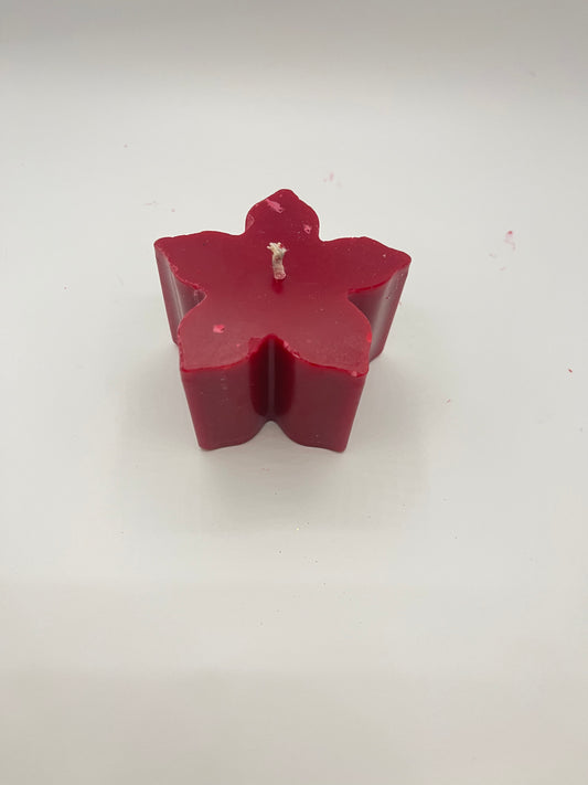 Christmas Eve flower