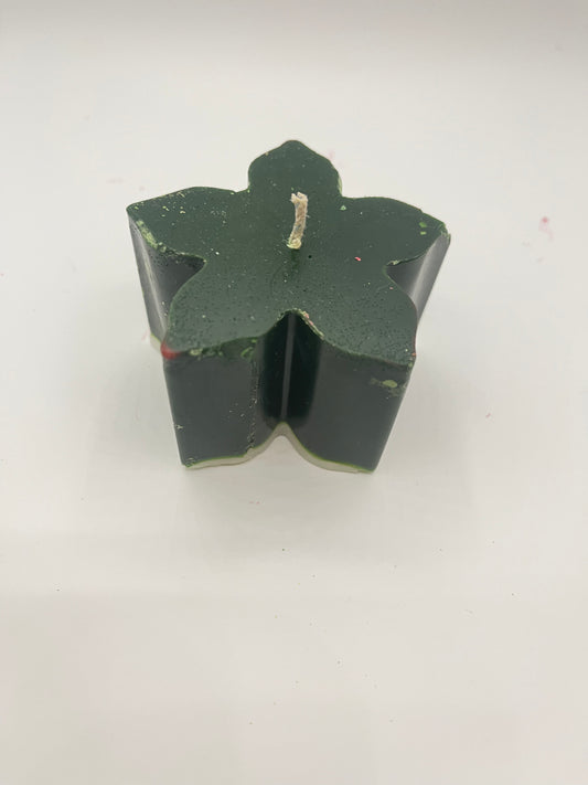 Christmas Eve flower